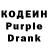 Кодеиновый сироп Lean Purple Drank SonOte Remsi