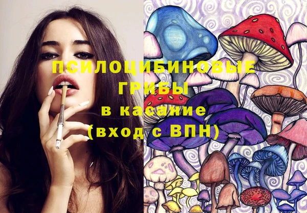 spice Алексин