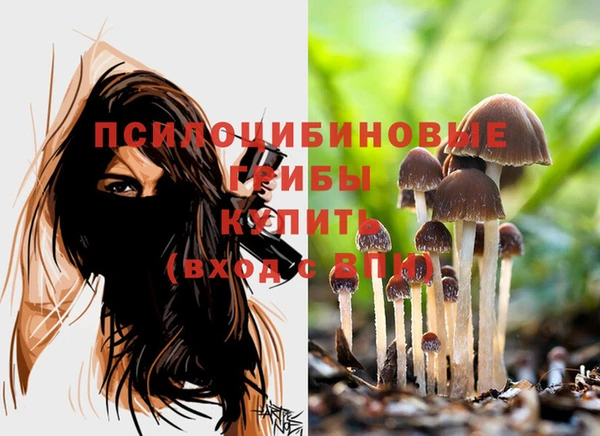 соль курить ск Алексеевка