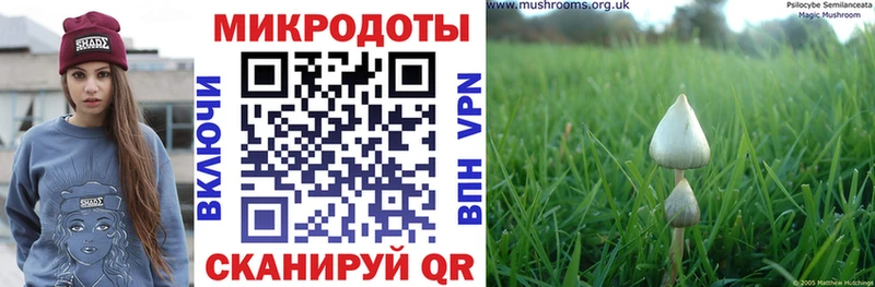 Галлюциногенные грибы мицелий  Самара 