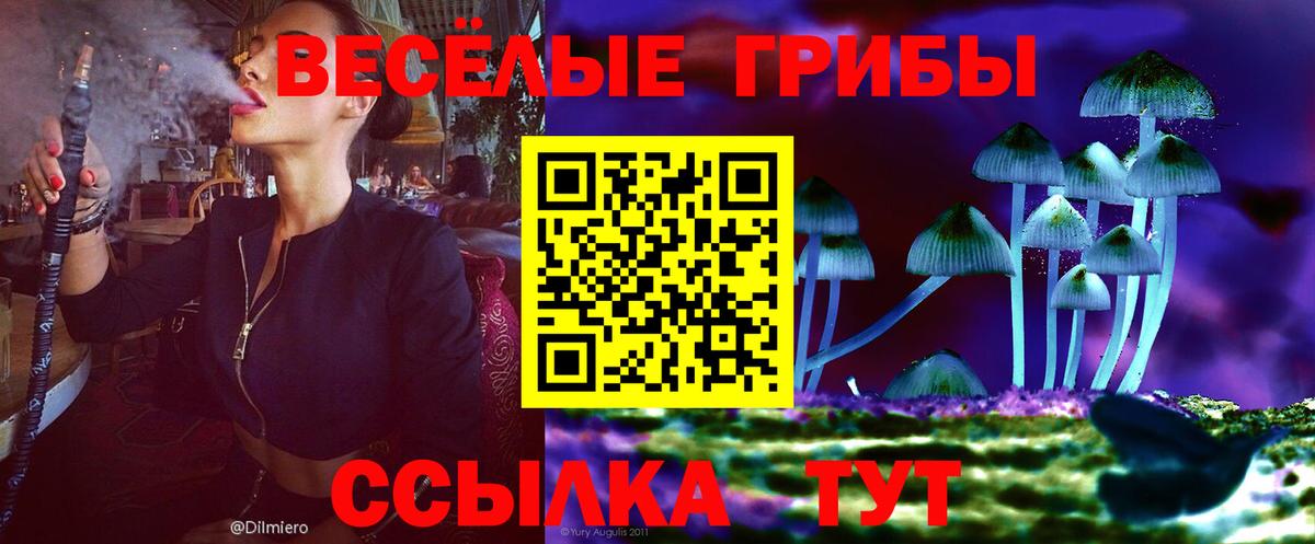Псилоцибиновые грибы мицелий Самара