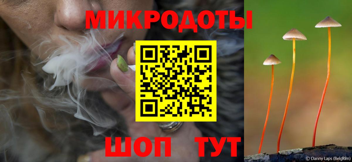 магазин продажи   Псилоцибиновые грибы мухоморы  Самара  Вход с VPN  Псилоцибиновые грибы прущие грибы 