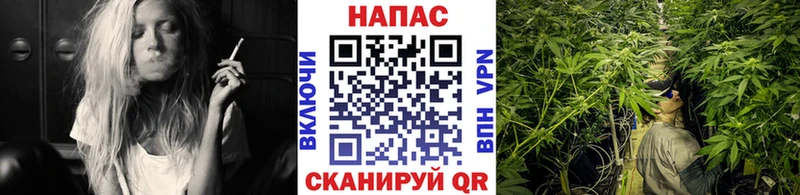 купить закладку  Самара  Бошки марихуана конопля 