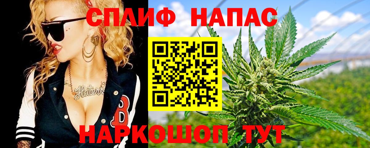 Каннабис гибрид Самара